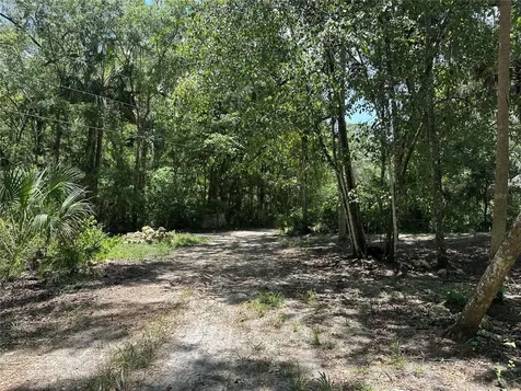 292 S Dew Plant Point Crystal River FL 34429