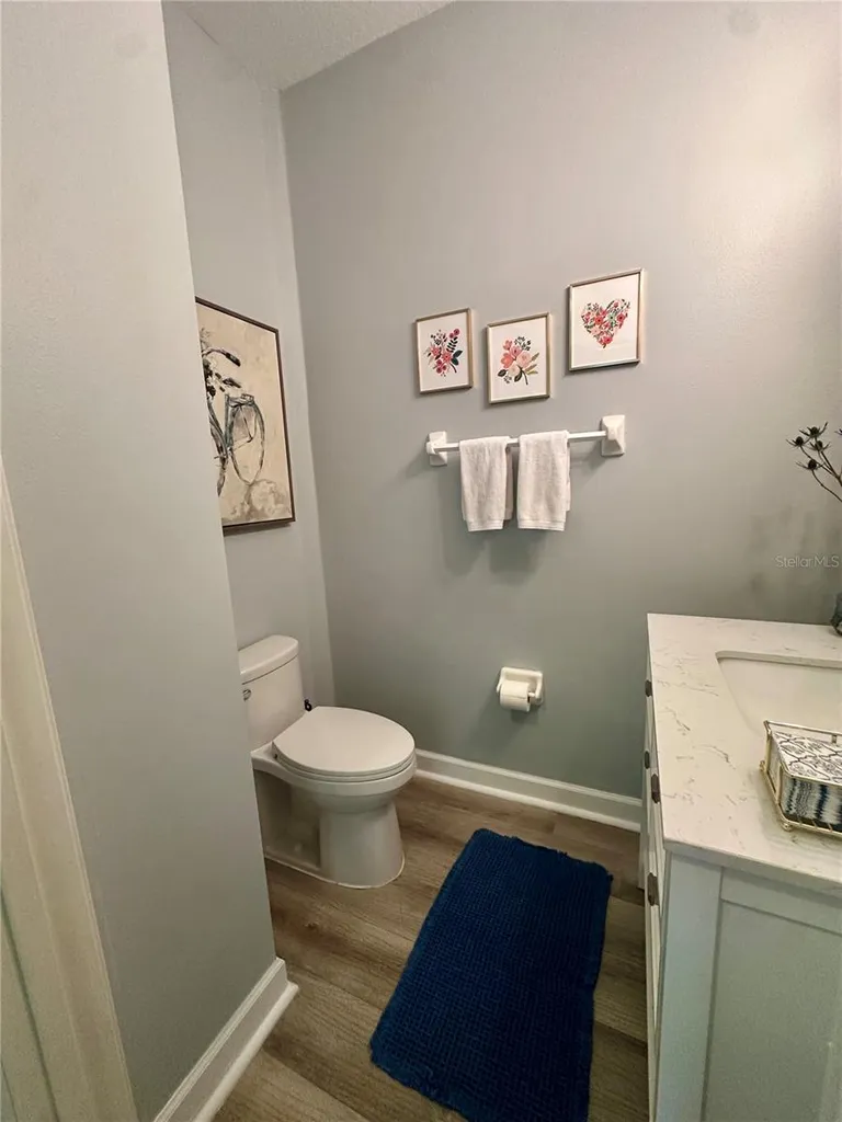 8052 Laurel Ridge Drive Mount Dora FL 32757