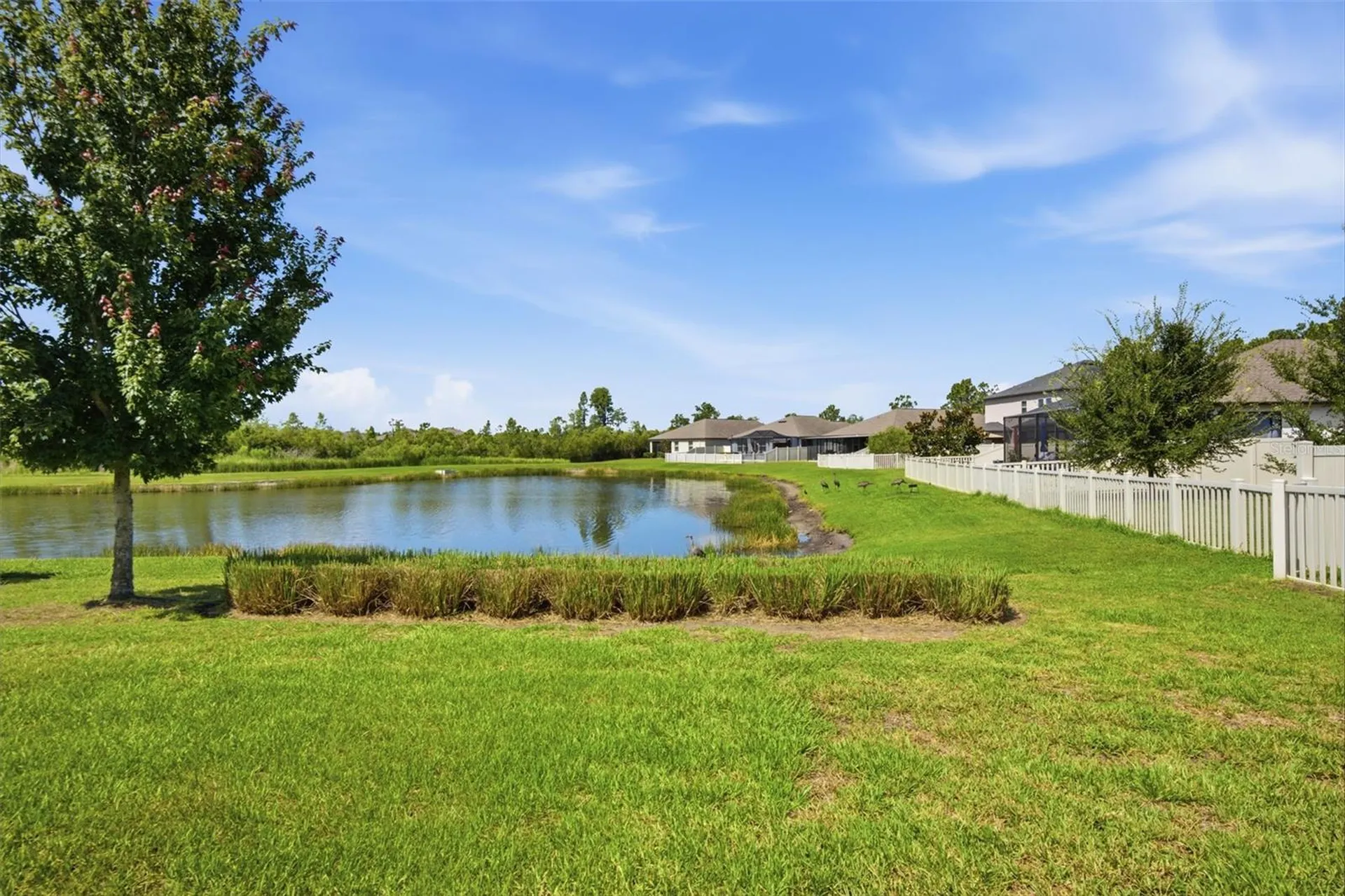 21816 Crest Meadow Drive Land O Lakes FL 34637