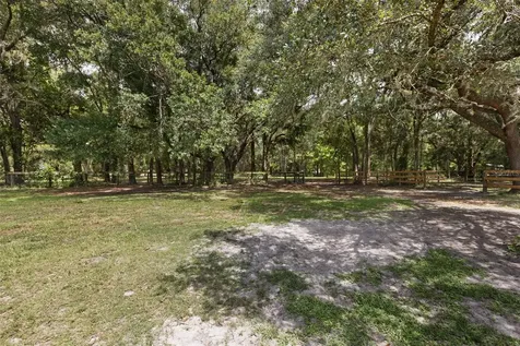 18950 NE 55th Street Williston FL 32696