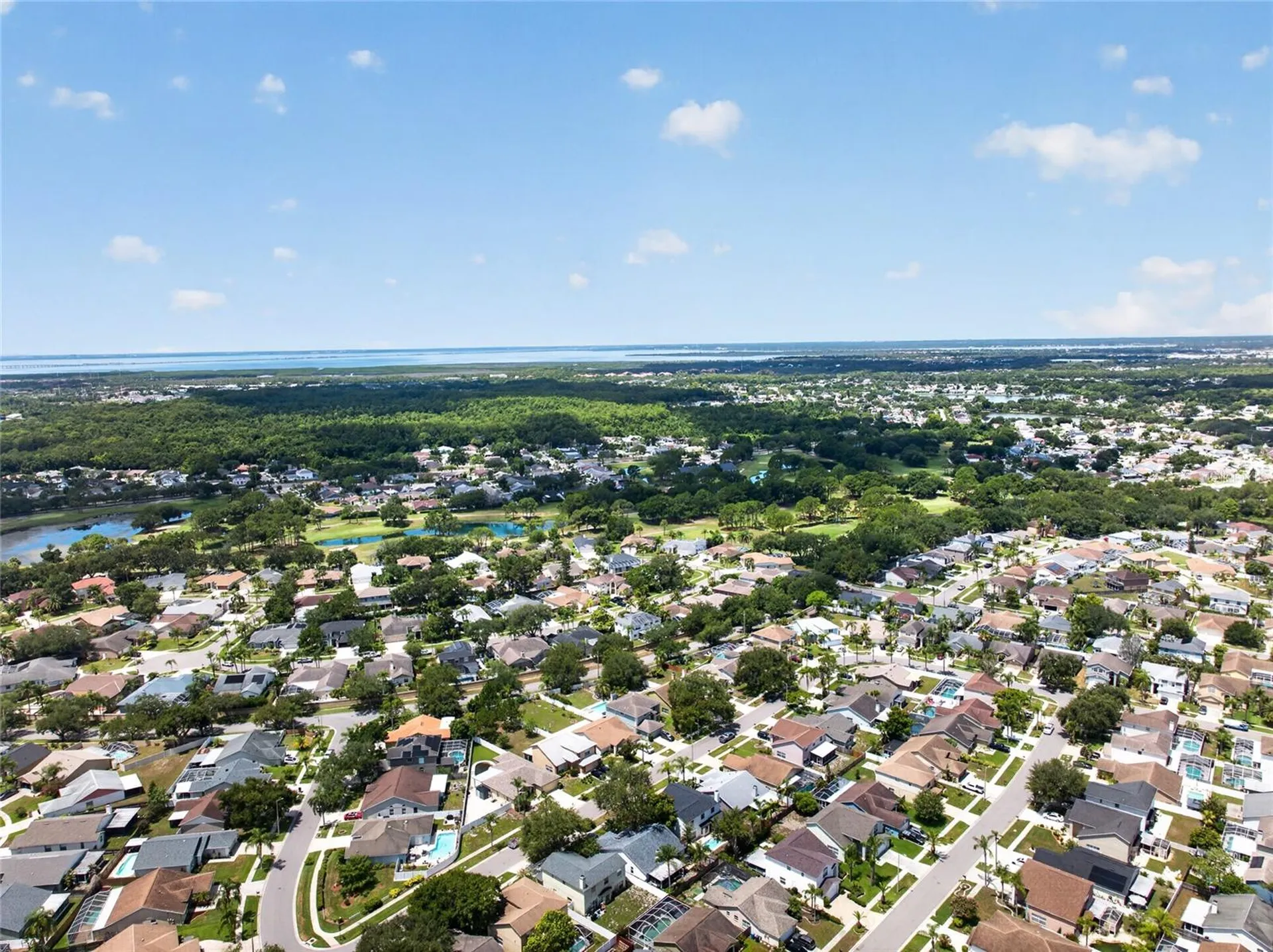 11328 Clayridge Drive Tampa FL 33635