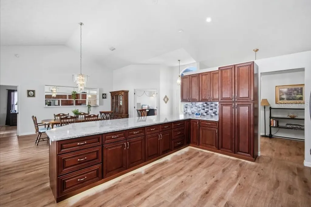 483 Lincoln Avenue Masaryktown FL 34604