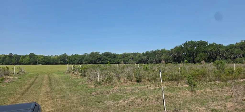 10434 SE 225th Drive Hawthorne FL 32640