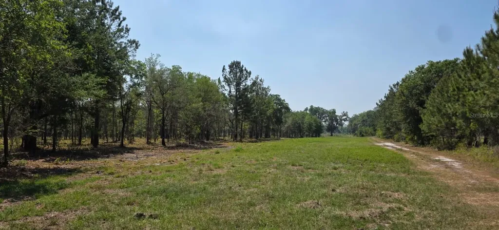 10434 SE 225th Drive Hawthorne FL 32640
