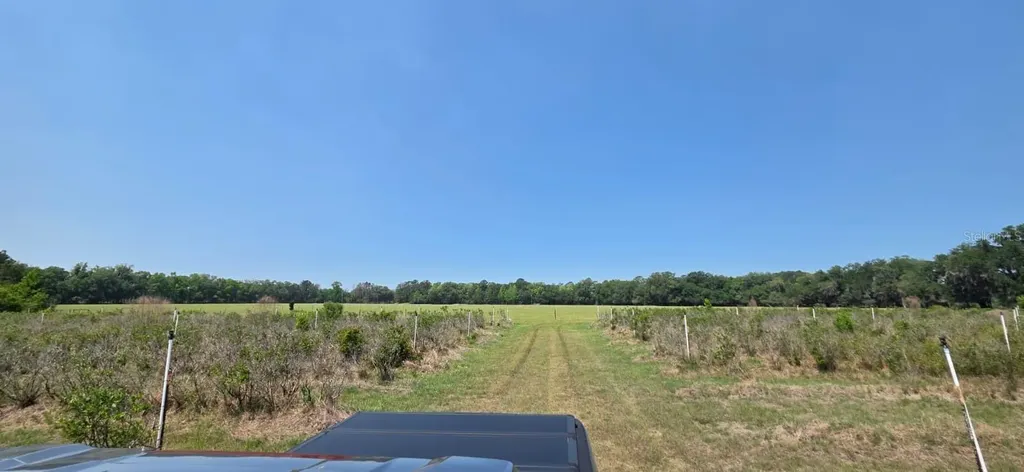10434 SE 225th Drive Hawthorne FL 32640