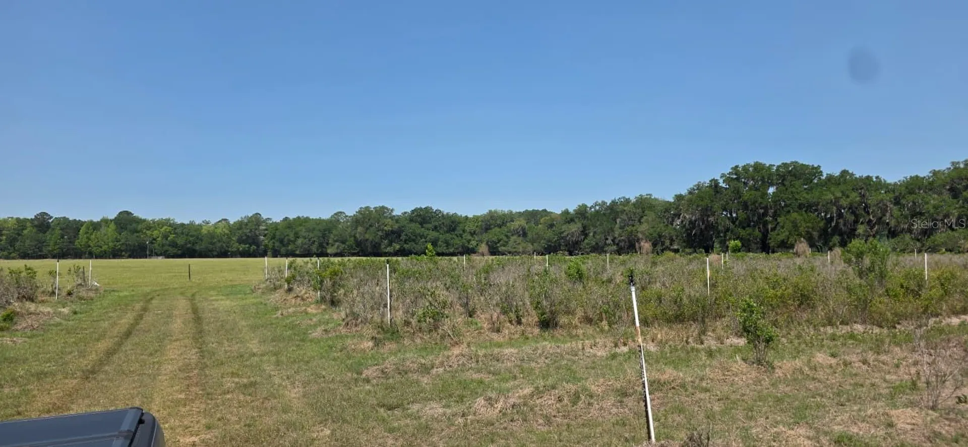 10434 SE 225th Drive Hawthorne FL 32640