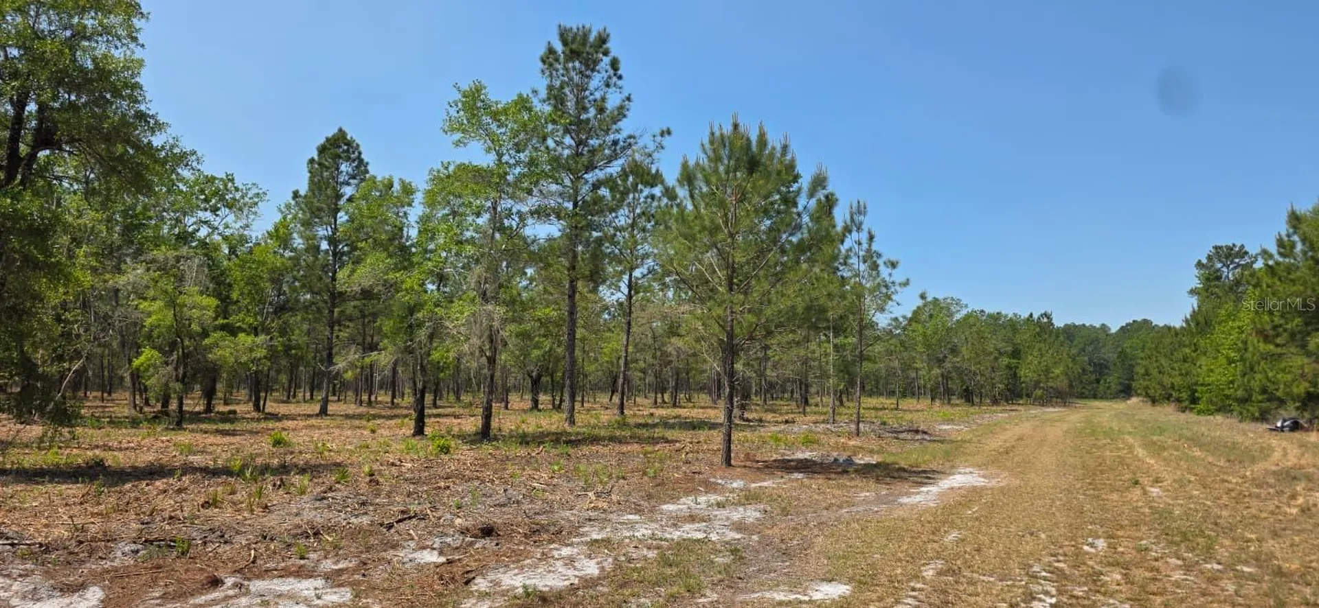 10434 SE 225th Drive Hawthorne FL 32640