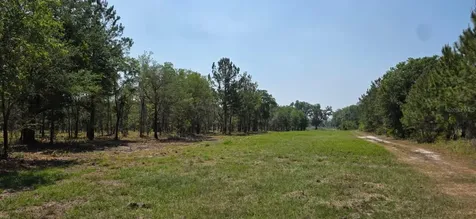 10434 SE 225th Drive Hawthorne FL 32640