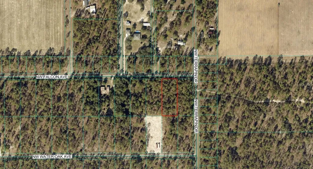 00 NW Falcon Avenue Dunnellon FL 34431