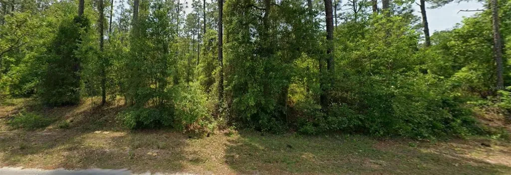 00 NW Falcon Avenue Dunnellon FL 34431
