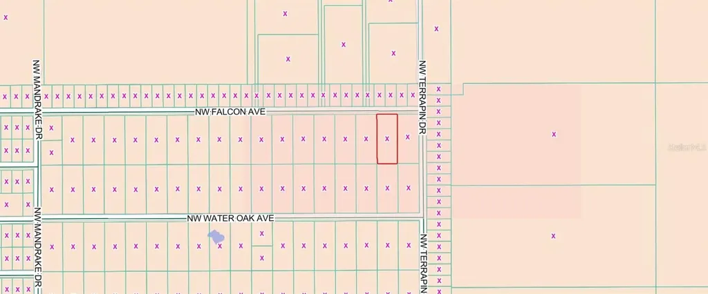00 NW Falcon Avenue Dunnellon FL 34431