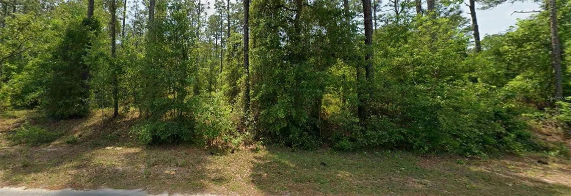00 NW Falcon Avenue Dunnellon FL 34431