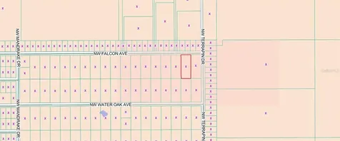00 NW Falcon Avenue Dunnellon FL 34431