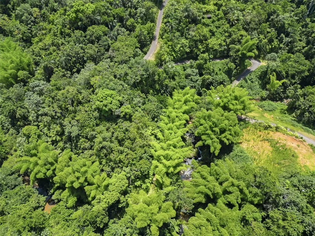Carretera 124 Km 1.3 Bo. Buena Vista Las Marias PR 00670