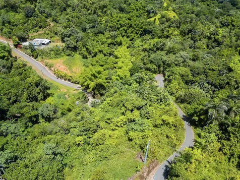 Carretera 124 Km 1.3 Bo. Buena Vista Las Marias PR 00670