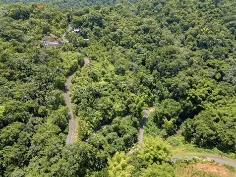 Carretera 124 Km 1.3 Bo. Buena Vista Las Marias PR 00670