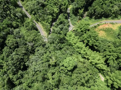 Carretera 124 Km 1.3 Bo. Buena Vista Las Marias PR 00670