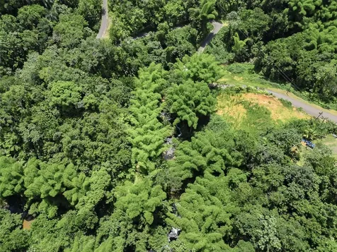 Carretera 124 Km 1.3 Bo. Buena Vista Las Marias PR 00670
