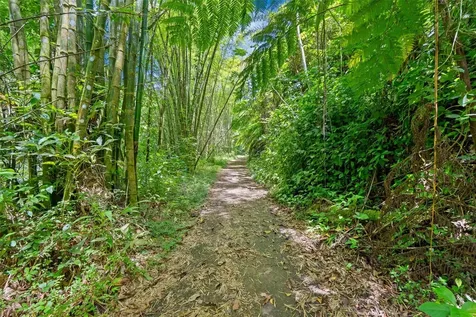 Carretera 124 Km 1.3 Bo. Buena Vista Las Marias PR 00670