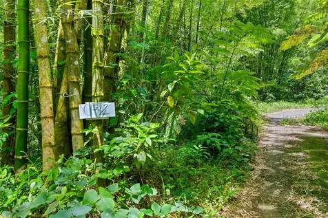 Carretera 124 Km 1.3 Bo. Buena Vista Las Marias PR 00670