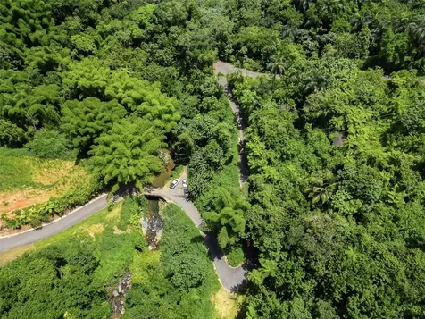 Carretera 124 Km 1.3 Bo. Buena Vista Las Marias PR 00670