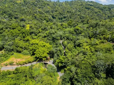 Carretera 124 Km 1.3 Bo. Buena Vista Las Marias PR 00670