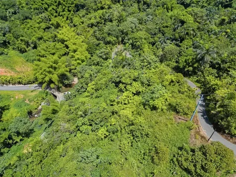 Carretera 124 Km 1.3 Bo. Buena Vista Las Marias PR 00670
