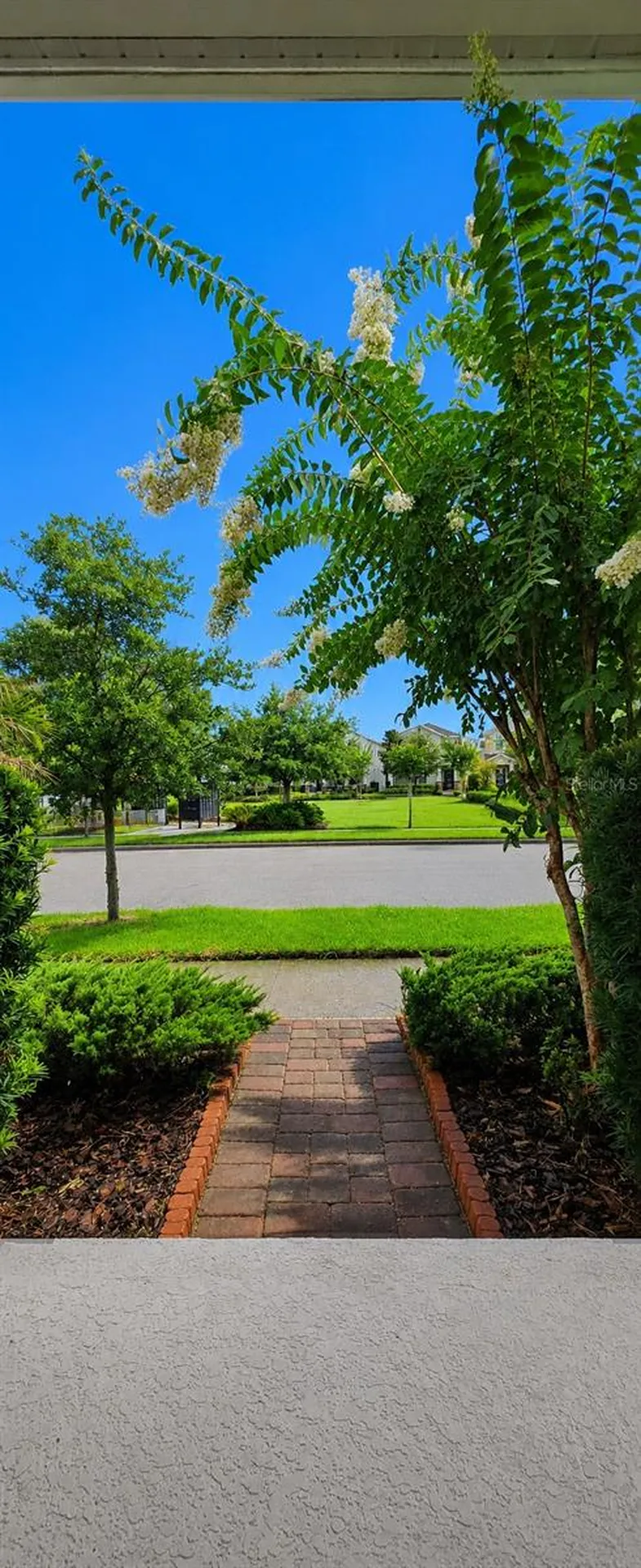 12156 Philosophy Way Orlando FL 32832
