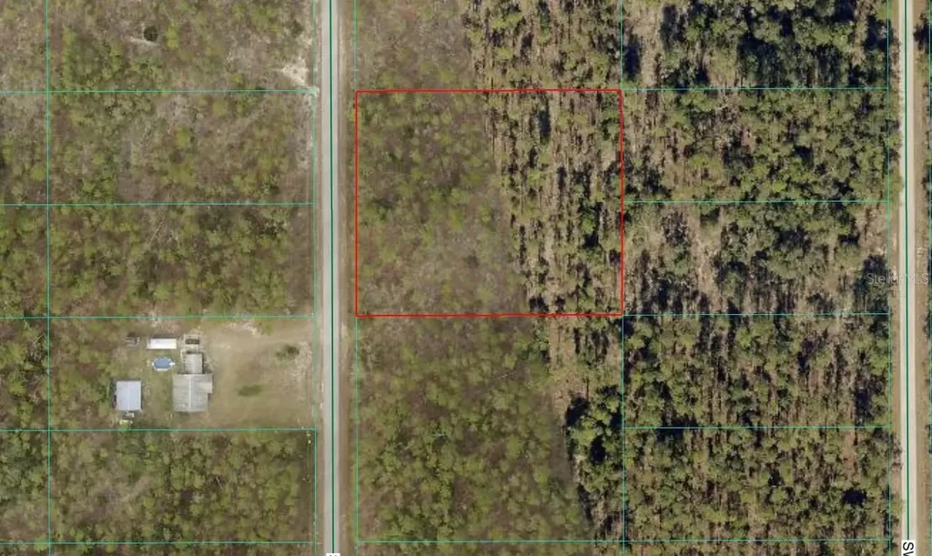 00 SW SW Zinnia Court Dunnellon FL 34431