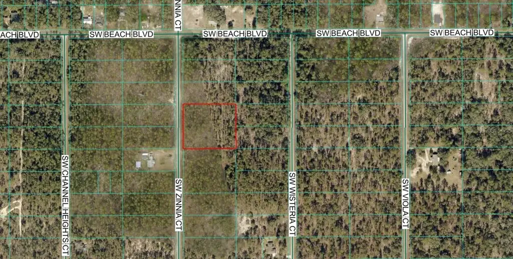 00 SW SW Zinnia Court Dunnellon FL 34431
