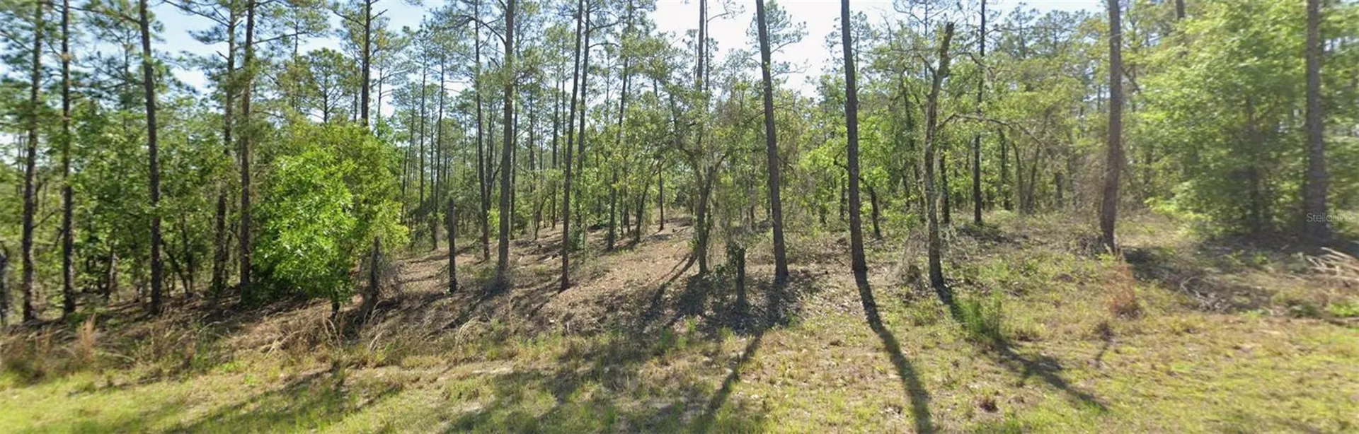00 SW SW Zinnia Court Dunnellon FL 34431