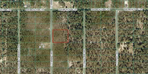 00 SW SW Zinnia Court Dunnellon FL 34431