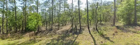 00 SW SW Zinnia Court Dunnellon FL 34431