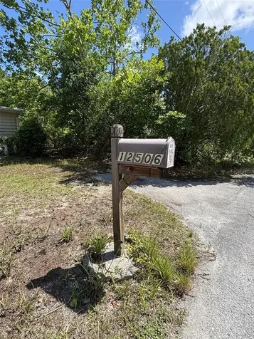 12506 Walton Avenue New Port Richey FL 34654