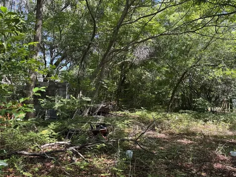 12506 Walton Avenue New Port Richey FL 34654