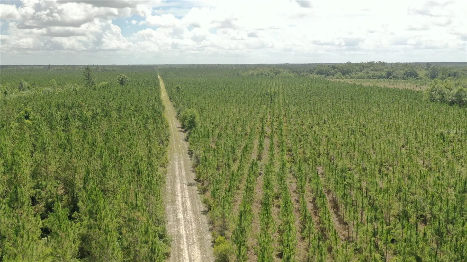 Us Hwy 441 N Lake City FL 32055
