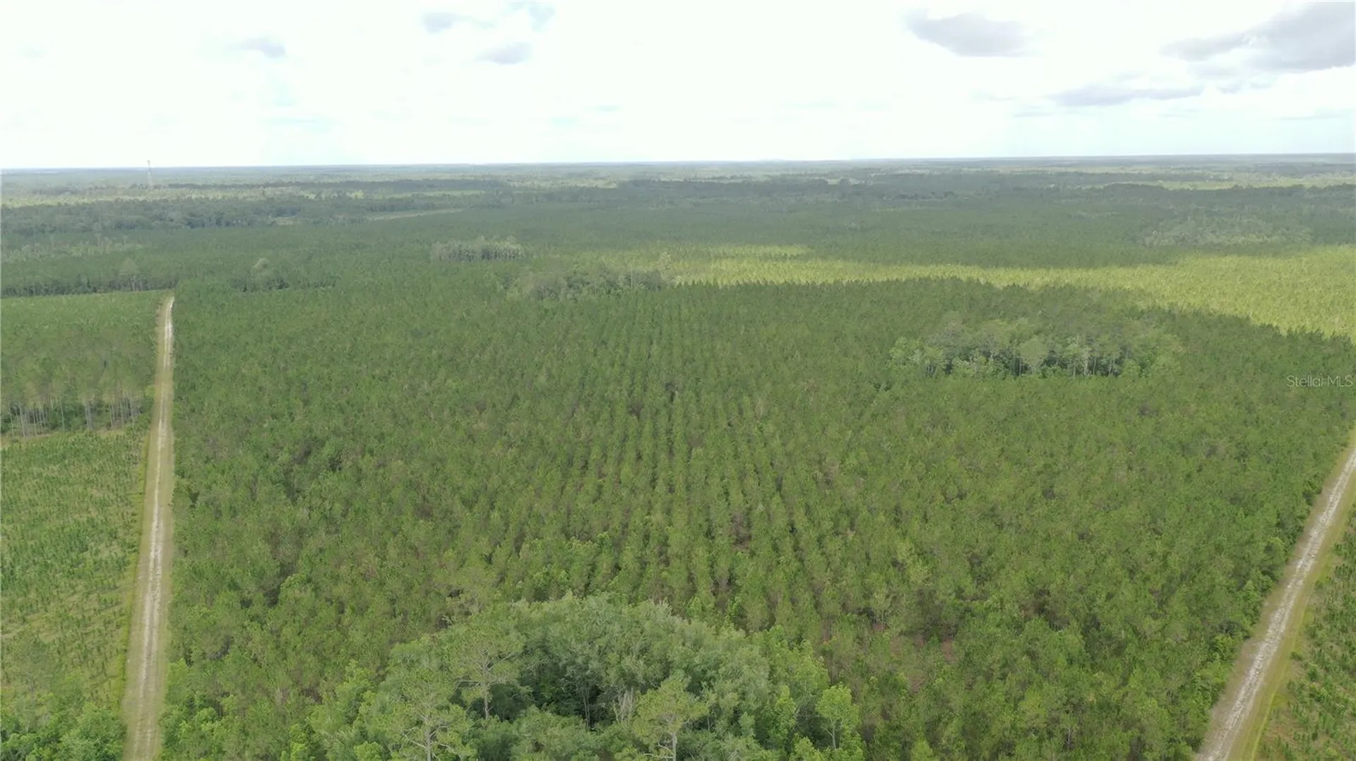 Us Hwy 441 N Lake City FL 32055