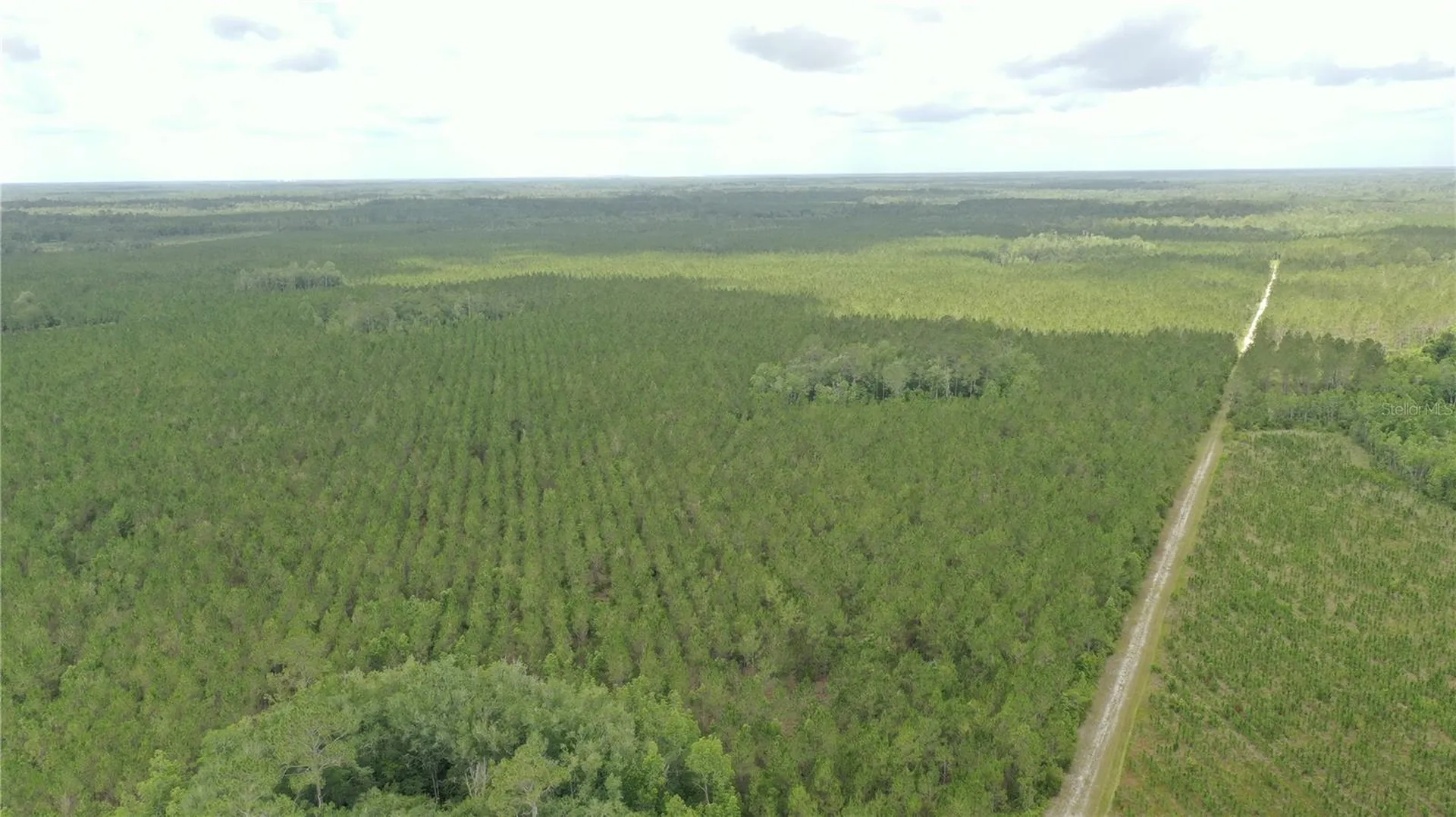 Us Hwy 441 N Lake City FL 32055
