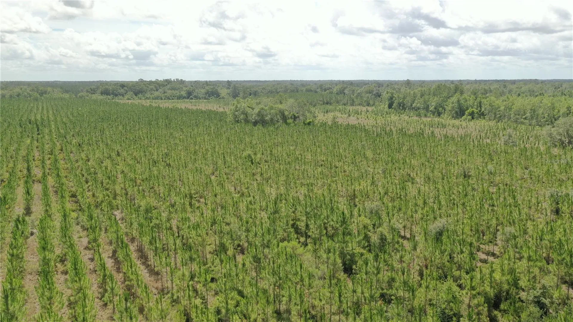 Us Hwy 441 N Lake City FL 32055