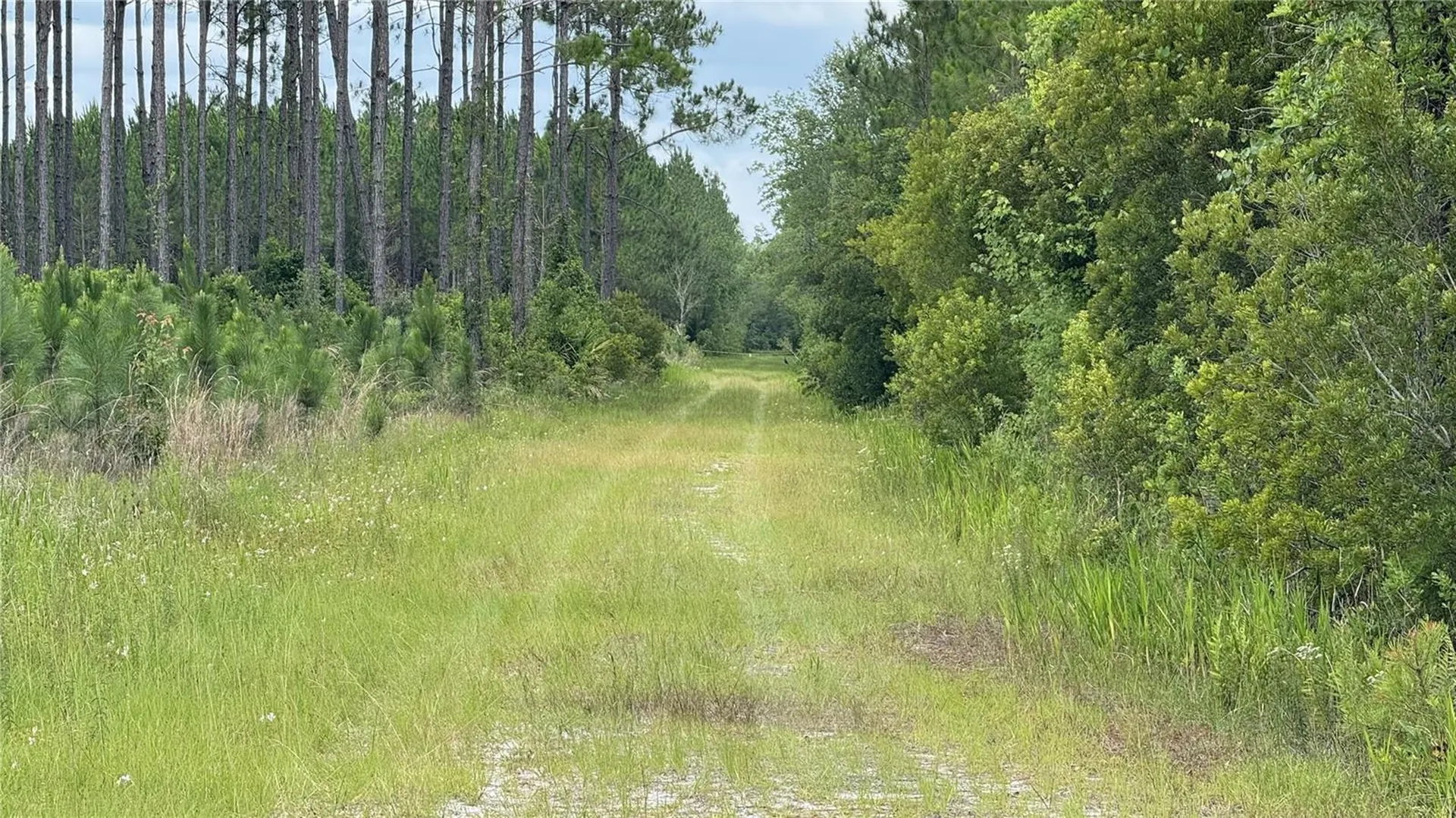 Us Hwy 441 N Lake City FL 32055