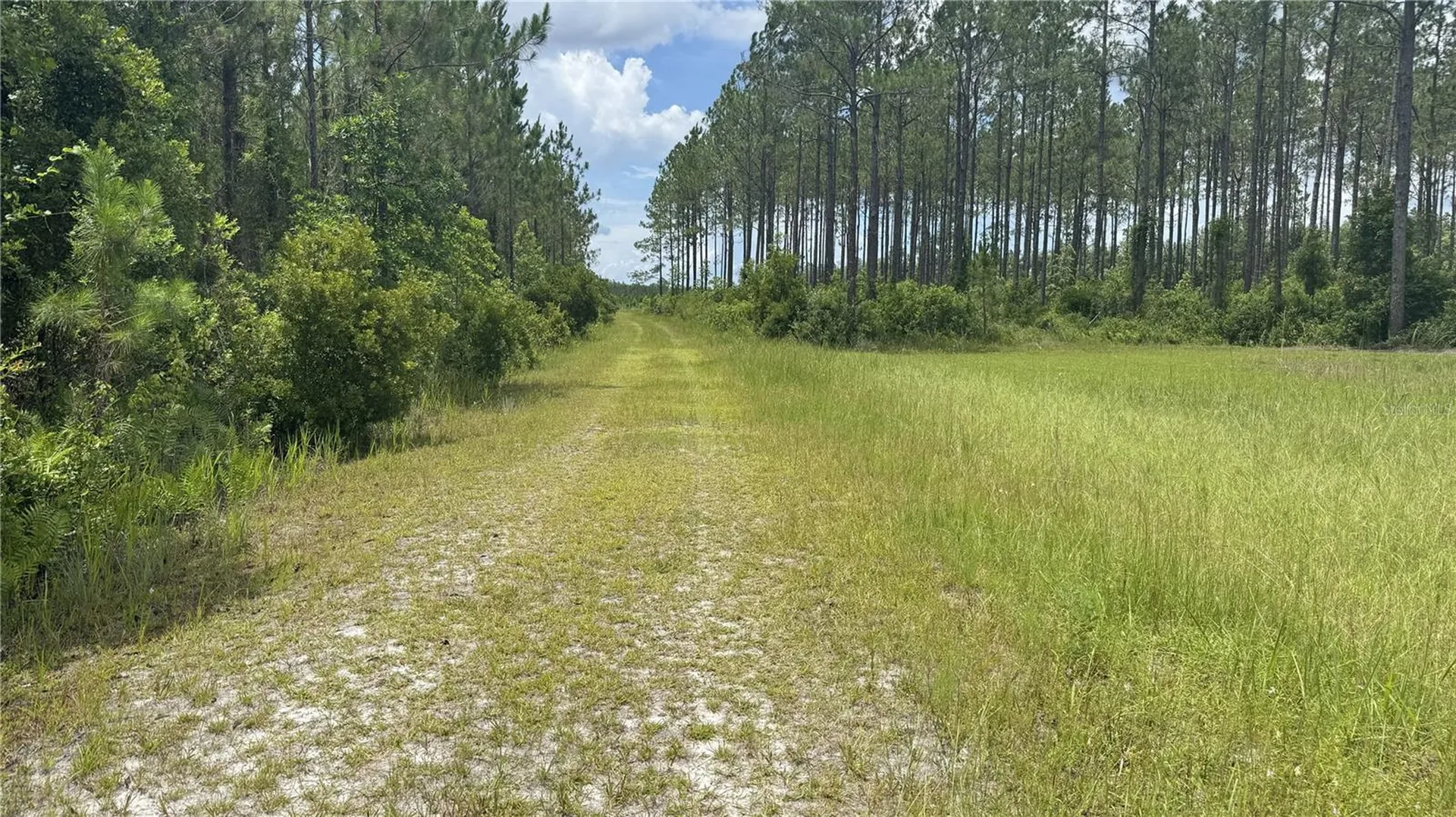 Us Hwy 441 N Lake City FL 32055