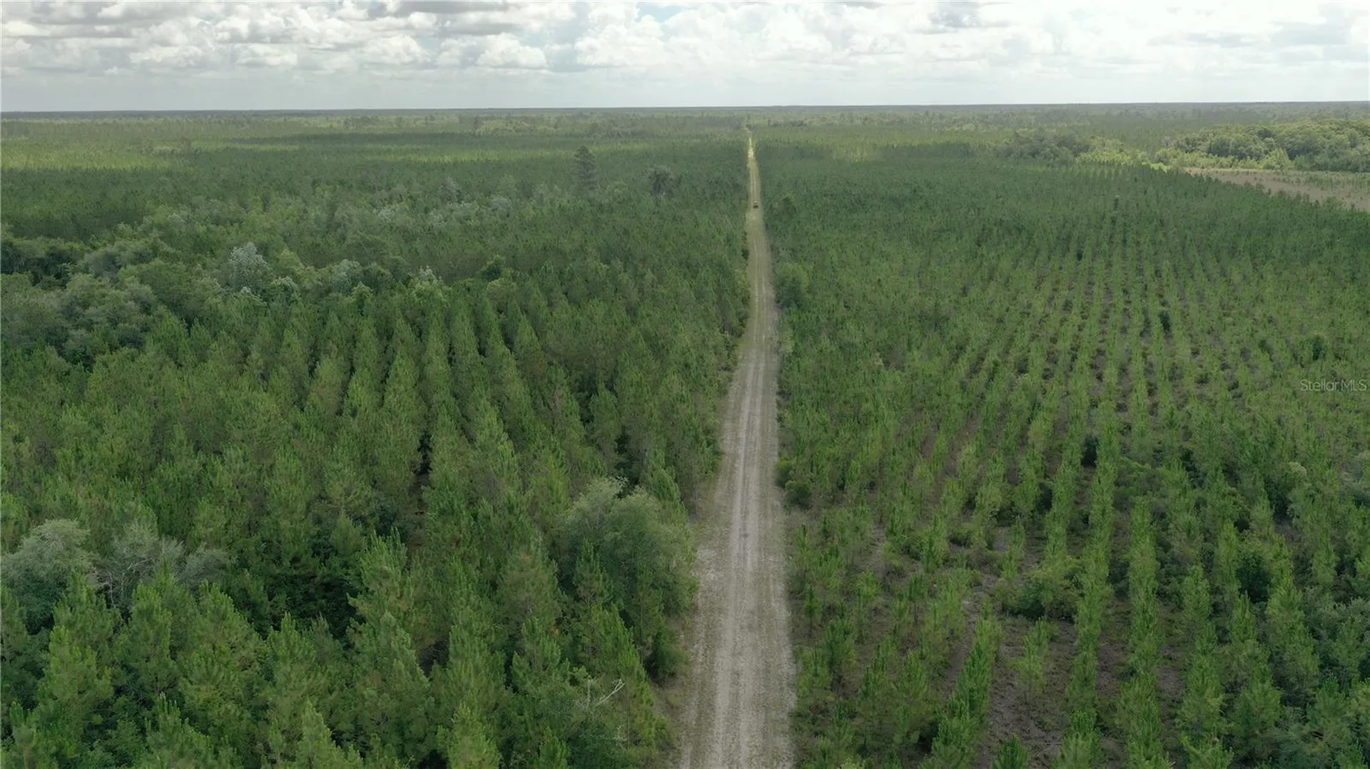 Us Hwy 441 N Lake City FL 32055
