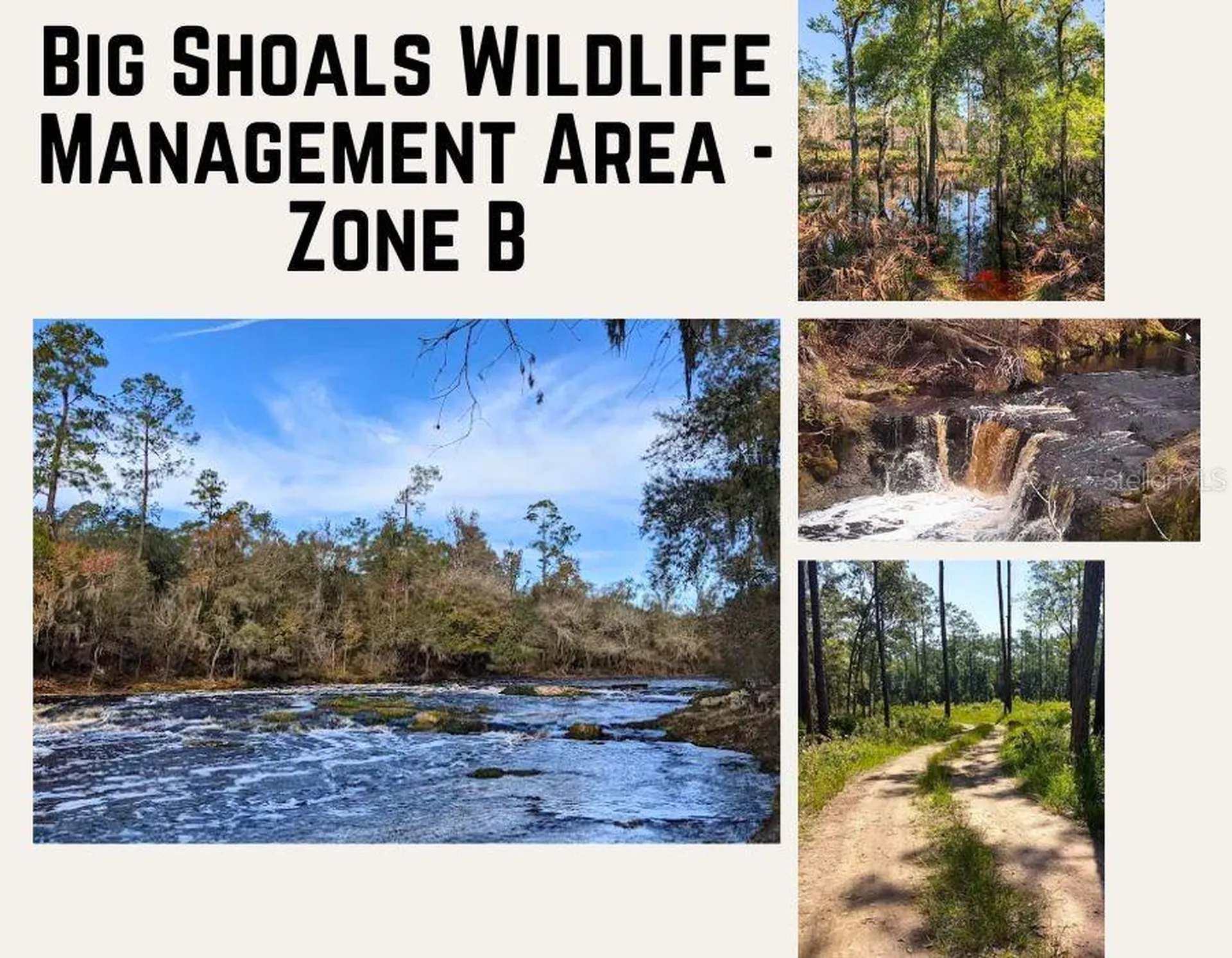 Us Hwy 441 N Lake City FL 32055