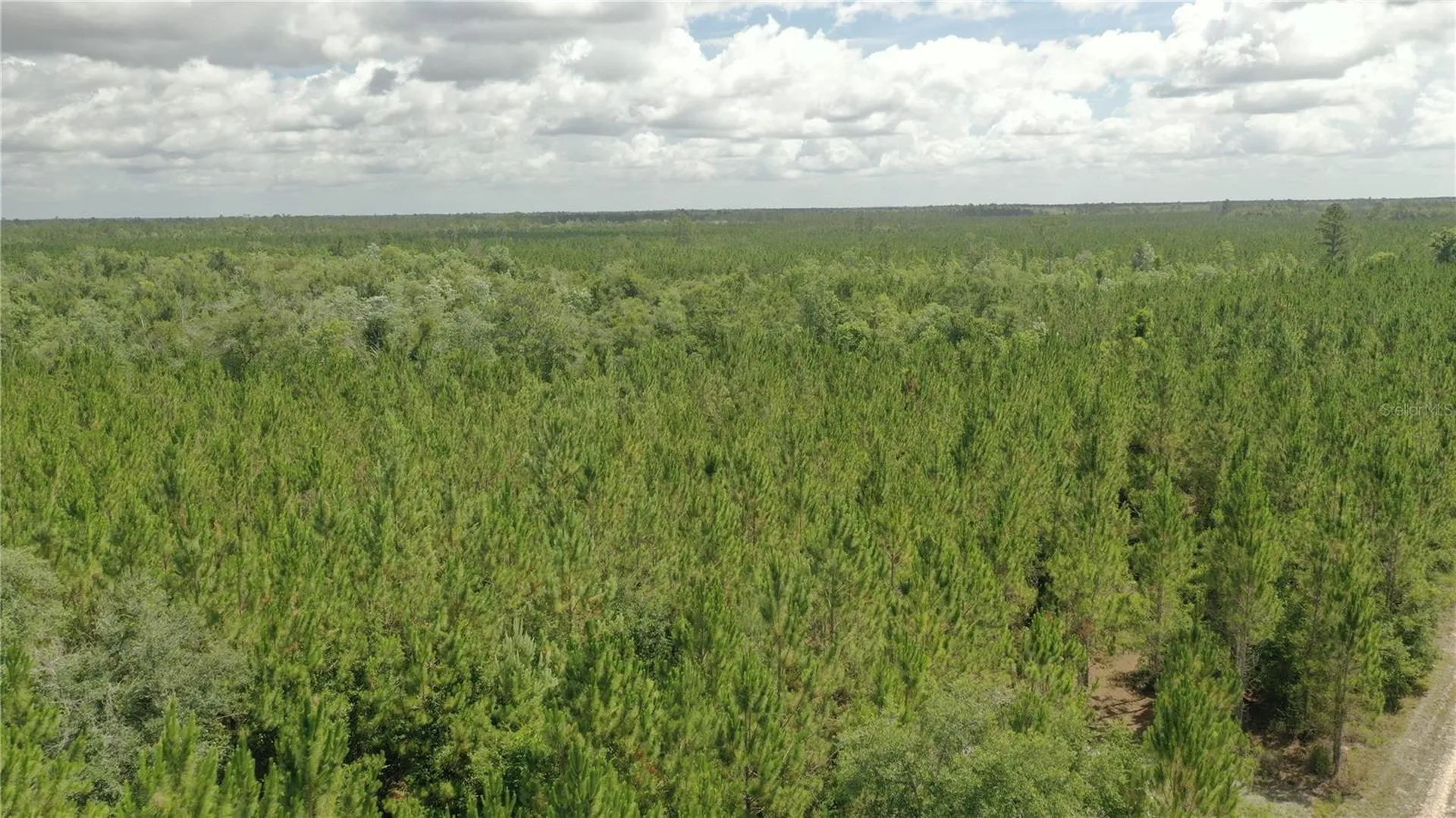 Us Hwy 441 N Lake City FL 32055