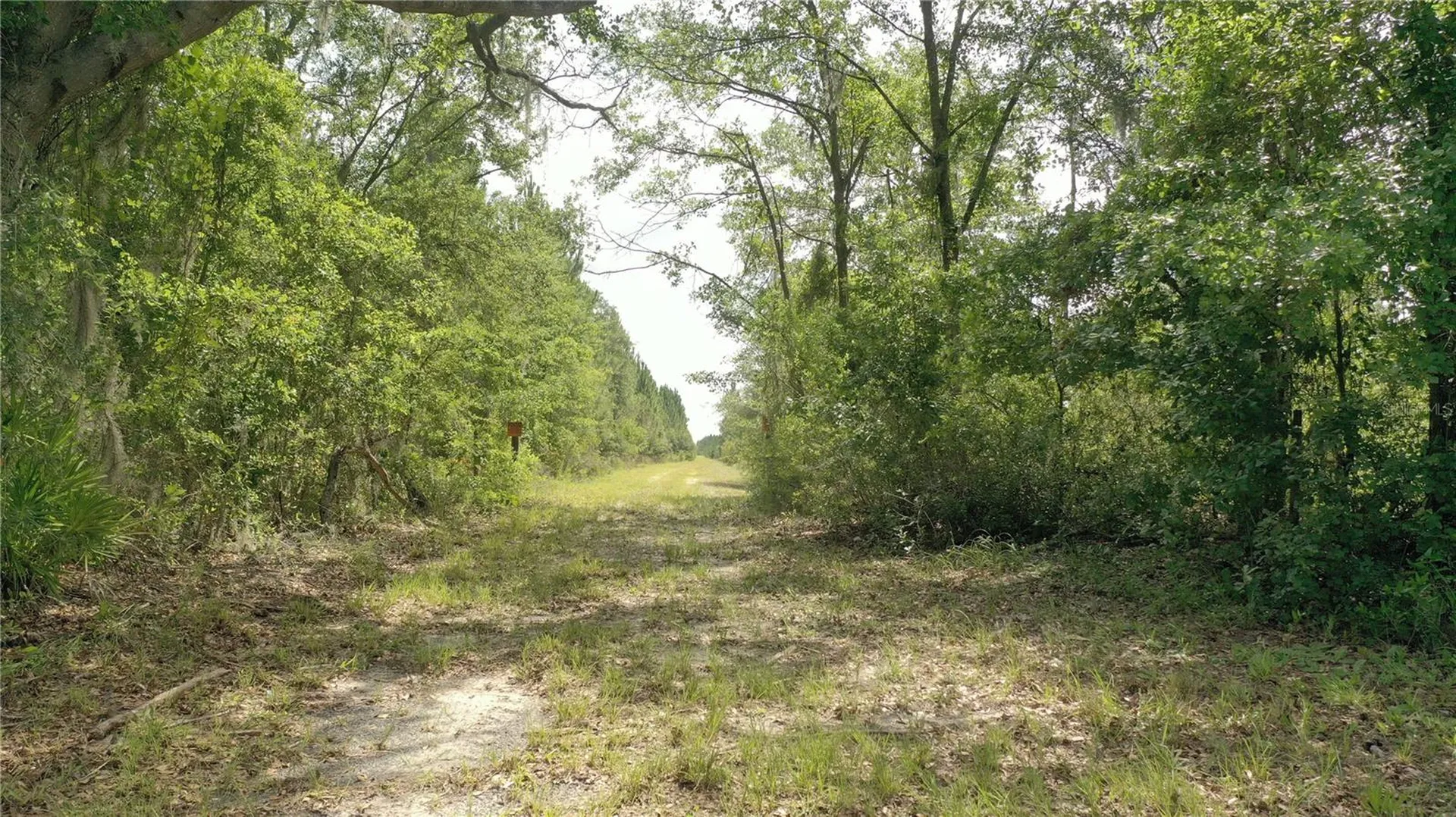 Us Hwy 441 N Lake City FL 32055