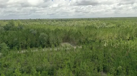 Us Hwy 441 N Lake City FL 32055