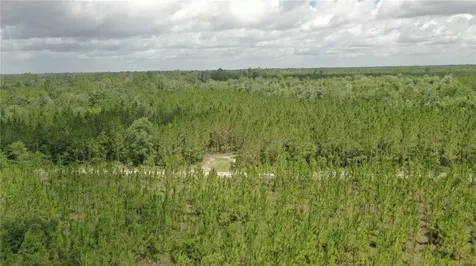 Us Hwy 441 N Lake City FL 32055