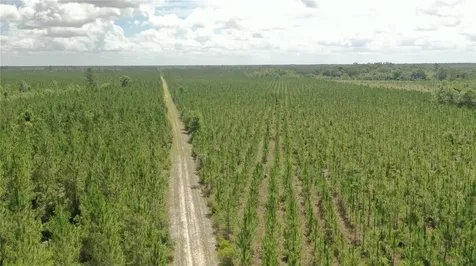 Us Hwy 441 N Lake City FL 32055