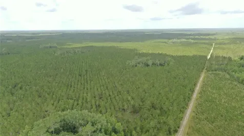 Us Hwy 441 N Lake City FL 32055