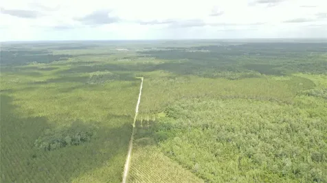 Us Hwy 441 N Lake City FL 32055